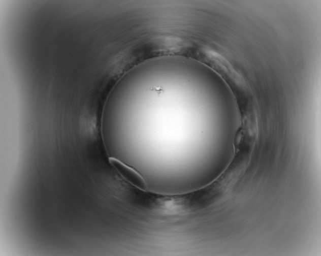 X0000096660564200802121133