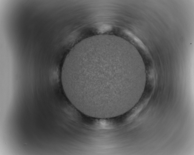 X0000096660565200802121133