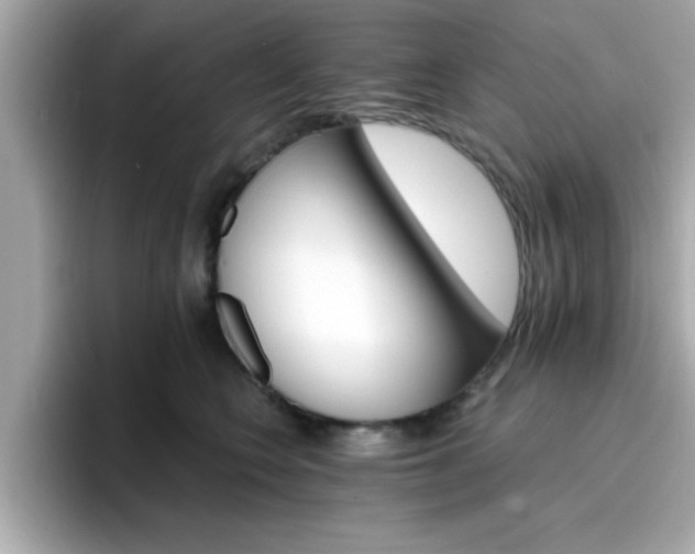 X0000096660566200802121133