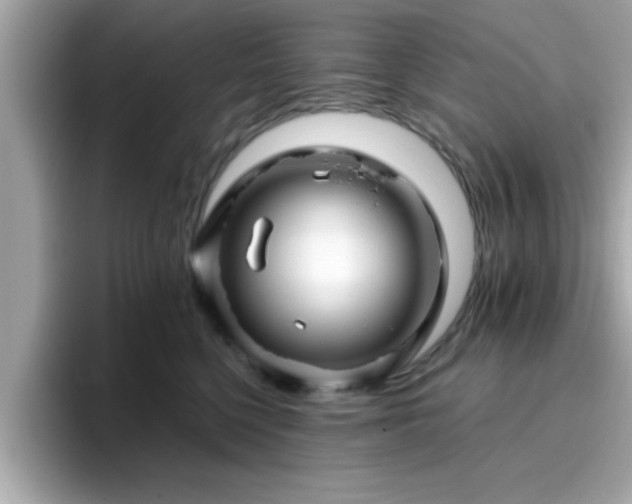 X0000096660568200802121133