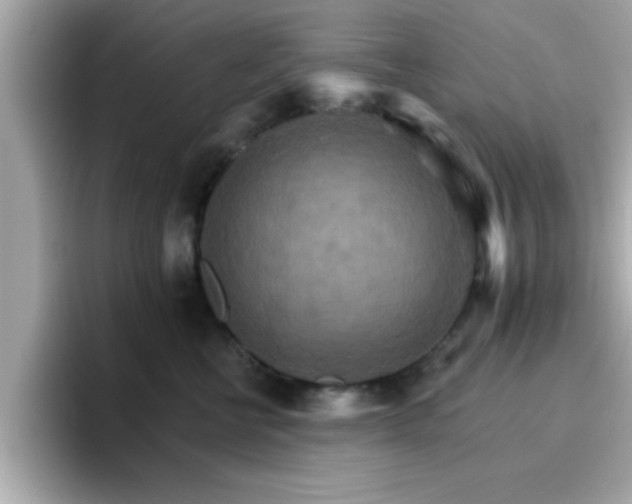 X0000096660570200802121133