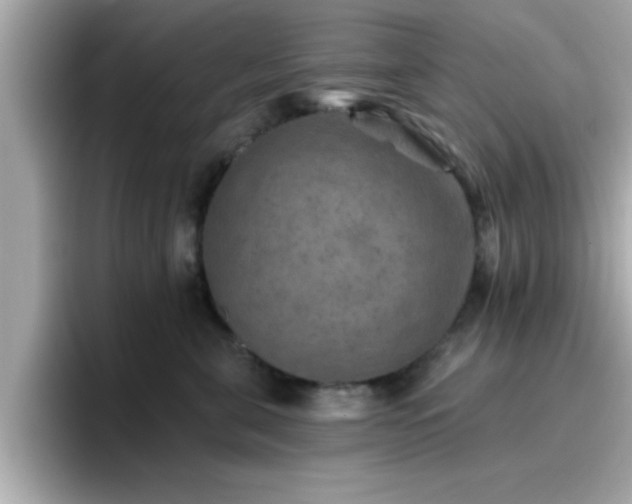 X0000096660571200802121133