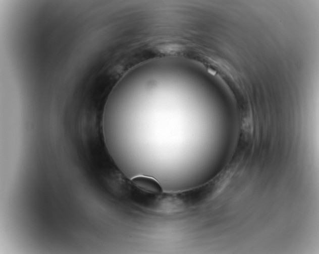 X0000096660572200802121133