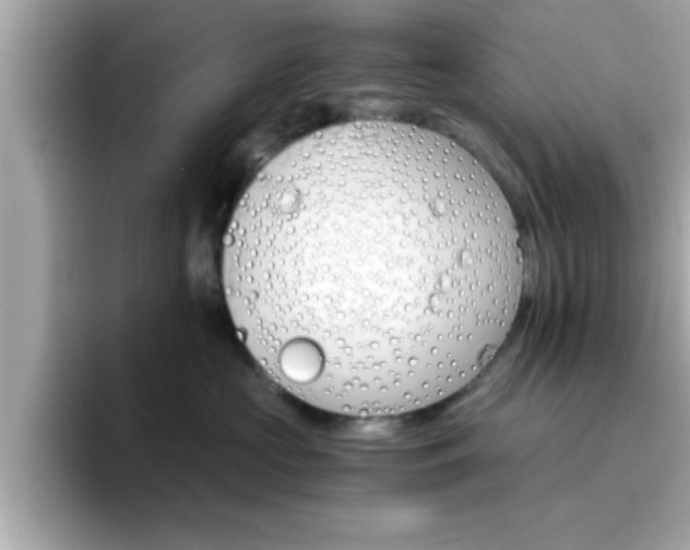 X0000096660573200802121133