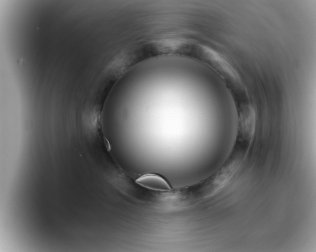 X0000096660574200802121133