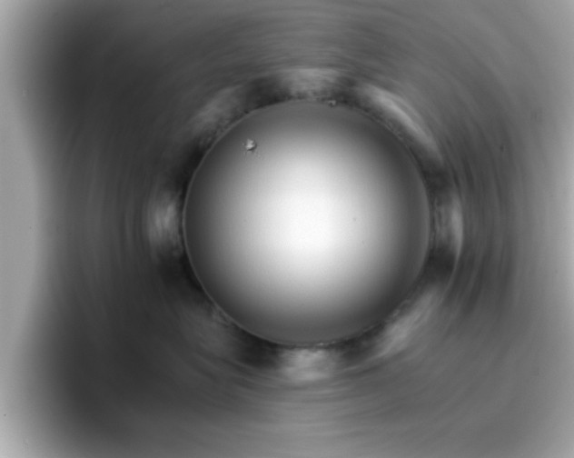 X0000096660575200802121133