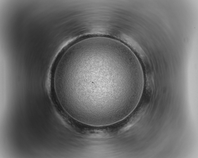 X0000096660580200802121132