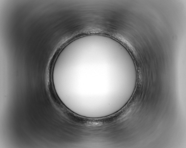 X0000096660582200802121132