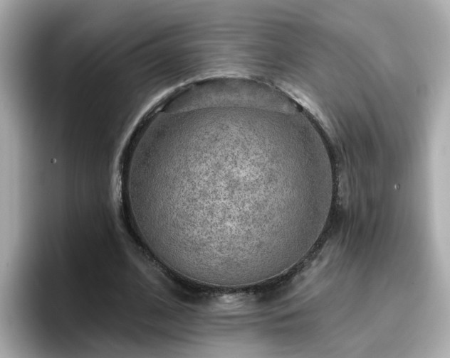 X0000096660584200802121132