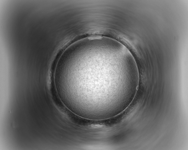 X0000096660586200802121132