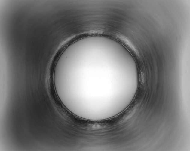 X0000096660588200802121132