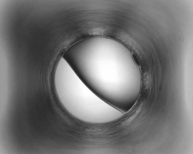 X0000096660589200802121132