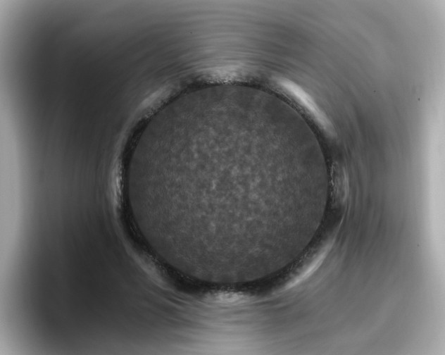 X0000096660590200802121132