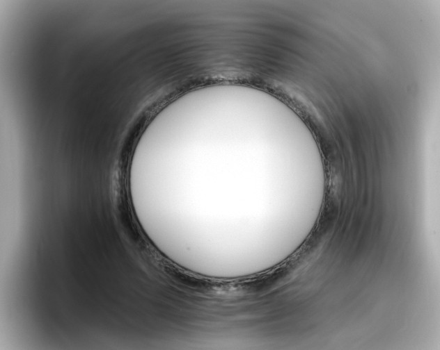 X0000096660591200802121132