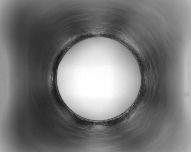 X0000096660592200802121132