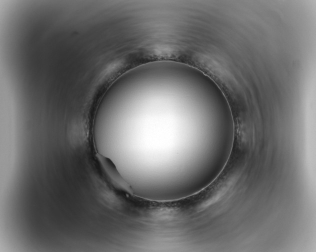 X0000096660593200802121132