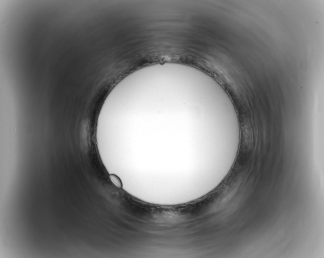 X0000096660594200802121132