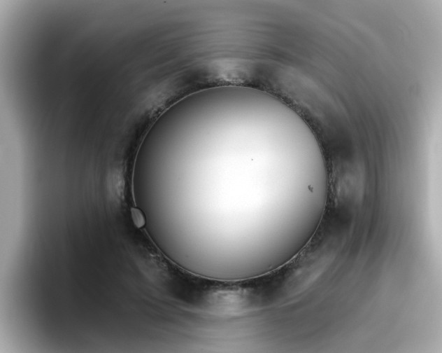 X0000096660595200802121132