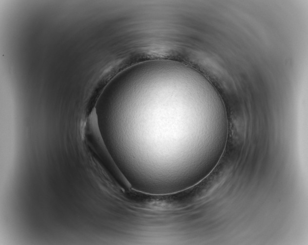 X0000096660596200802121132