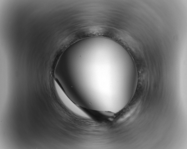 X0000096660597200802121132