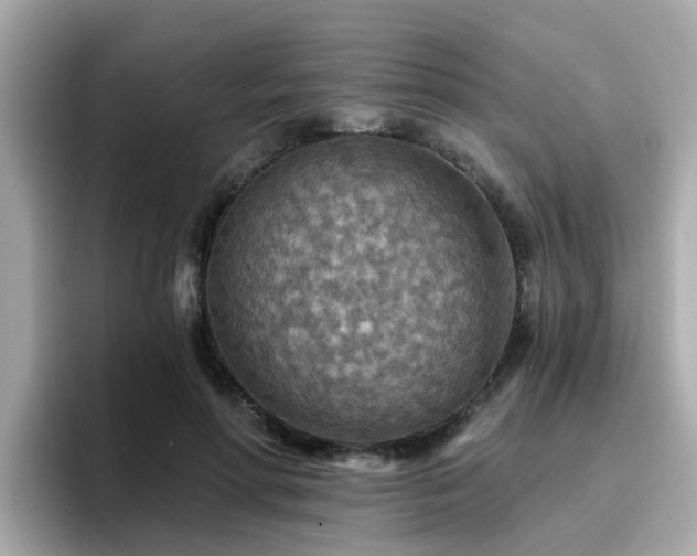 X0000096660598200802121132