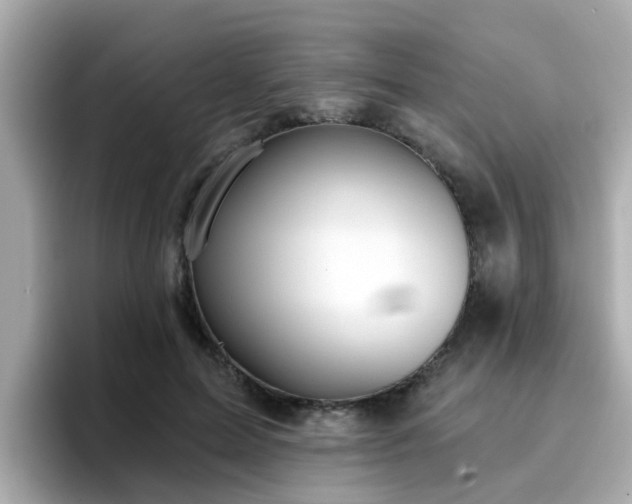 X0000096660599200802121132