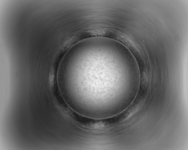 X0000096660600200802121132