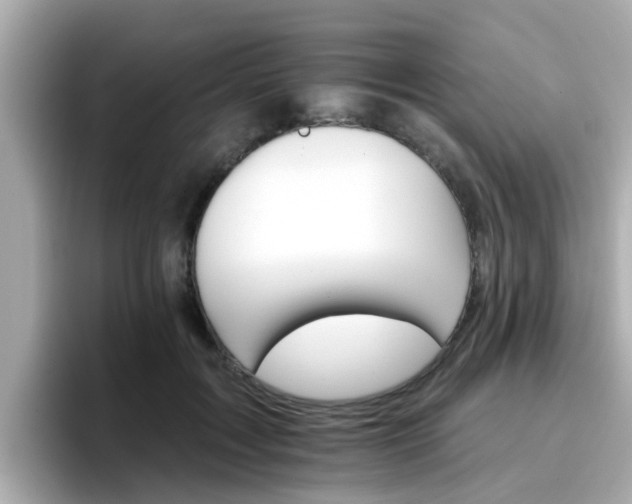 X0000096660603200802121132