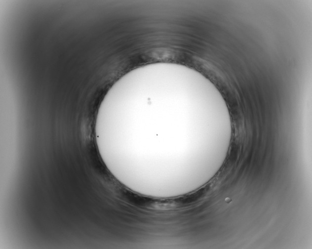 X0000096660606200802121132