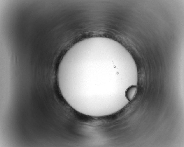 X0000096660608200802121132