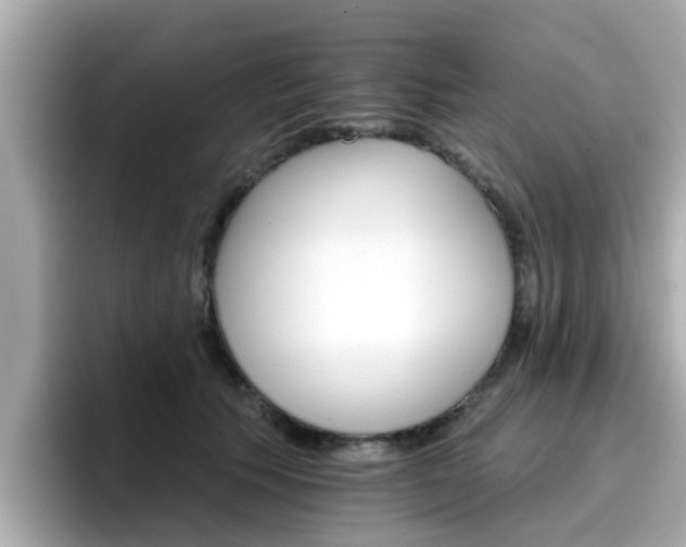 X0000096660609200802121132