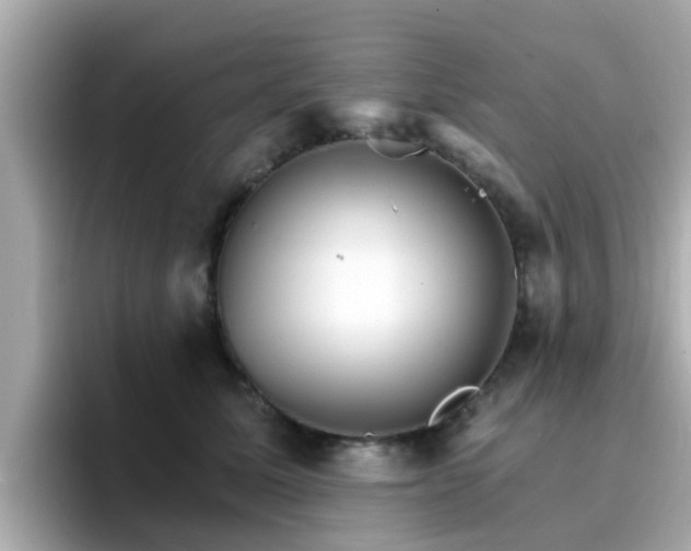 X0000096660611200802121132