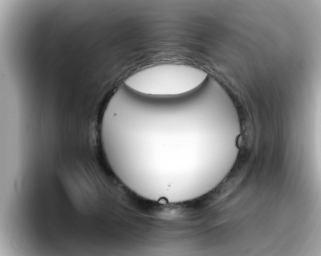 X0000096660612200802121132