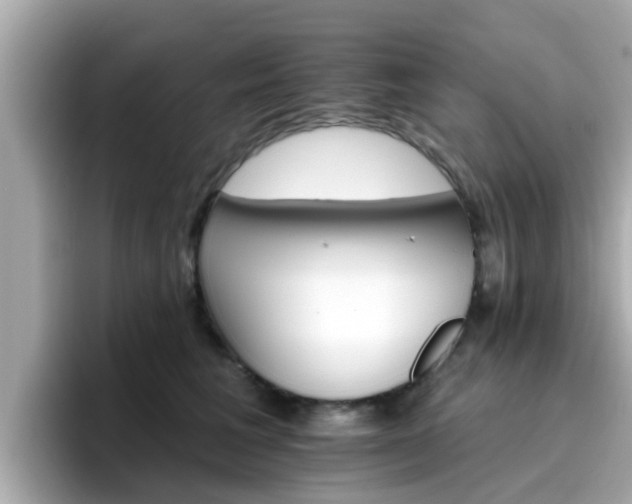 X0000096660613200802121132