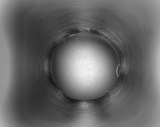 X0000096660616200802121132