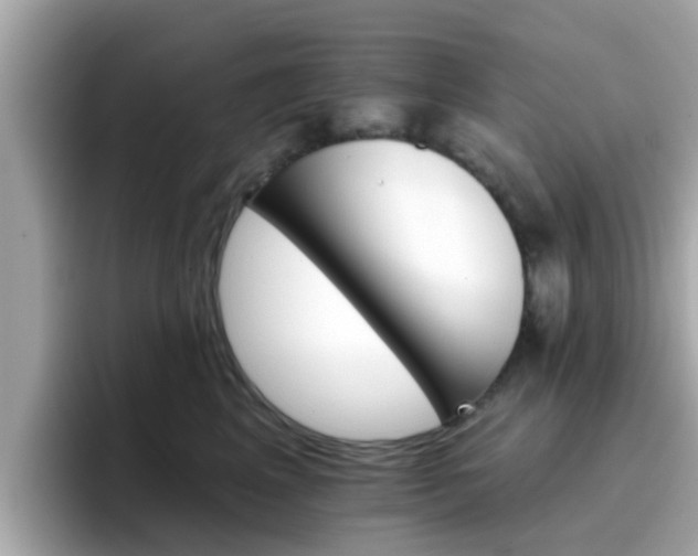 X0000096660617200802121132