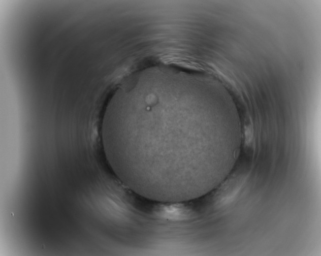 X0000096660618200802121132