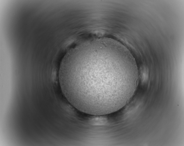 X0000096660619200802121132