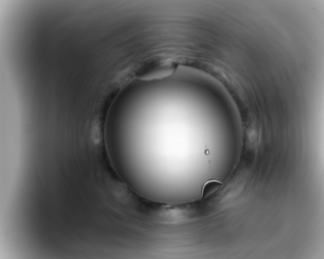 X0000096660620200802121132