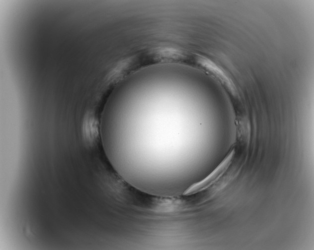 X0000096660621200802121132