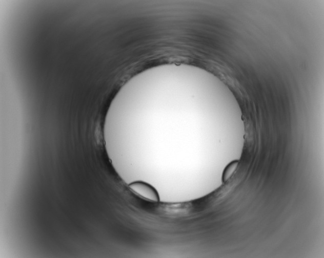 X0000096660622200802121132