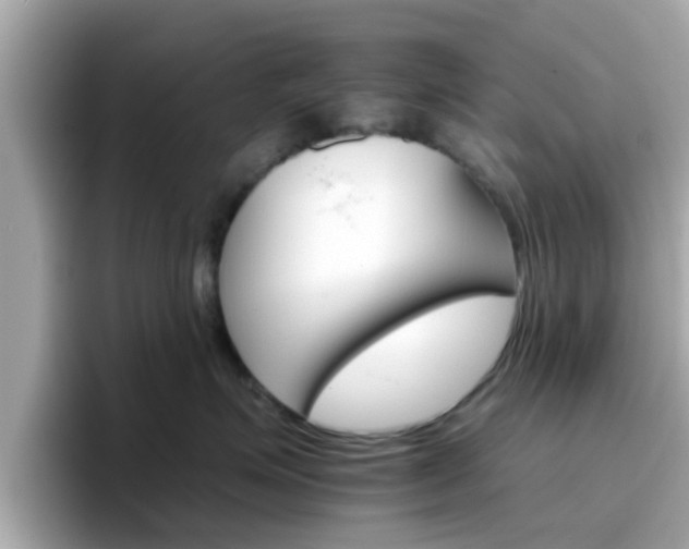 X0000096660623200802121132