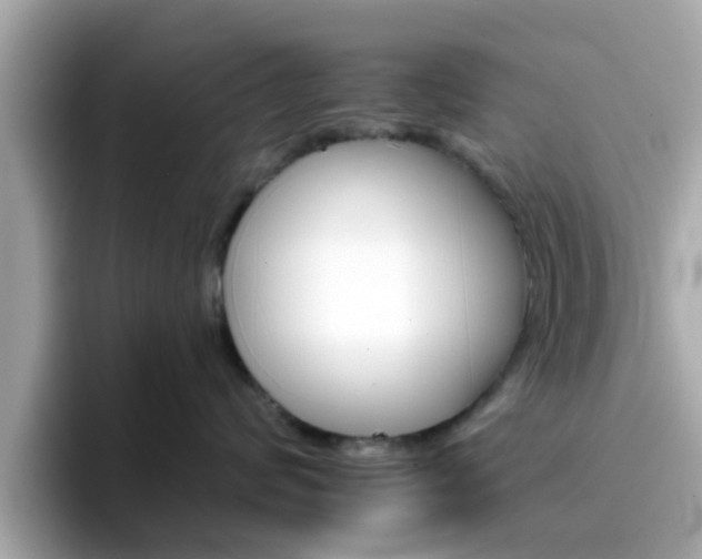 X0000096660624200802121132