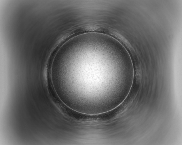 X0000096660626200802121131