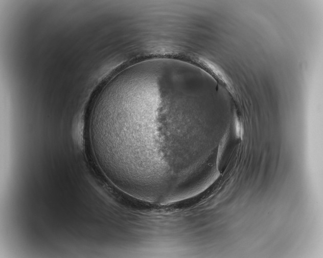 X0000096660627200802121131