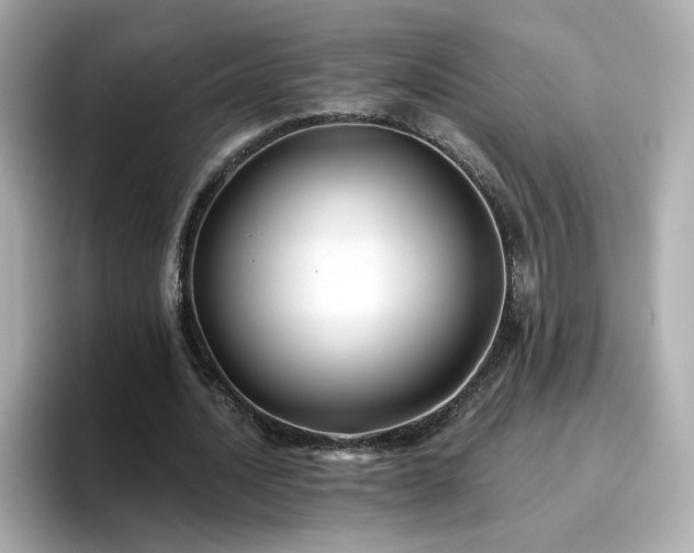 X0000096660628200802121131