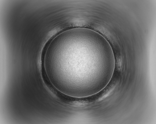 X0000096660630200802121131