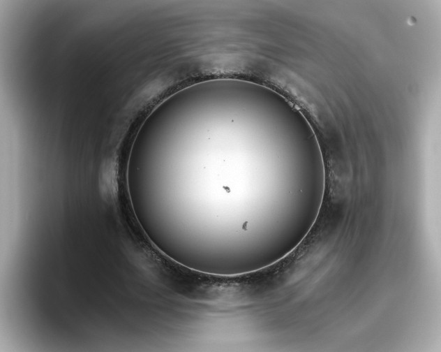 X0000096660631200802121131