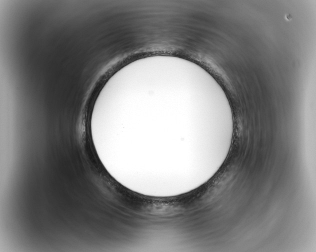 X0000096660632200802121131