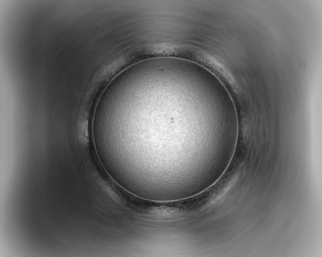 X0000096660633200802121131